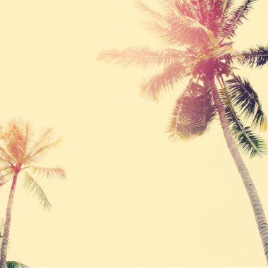 Palmiye ağaçları orman tropik manzaralı tonda