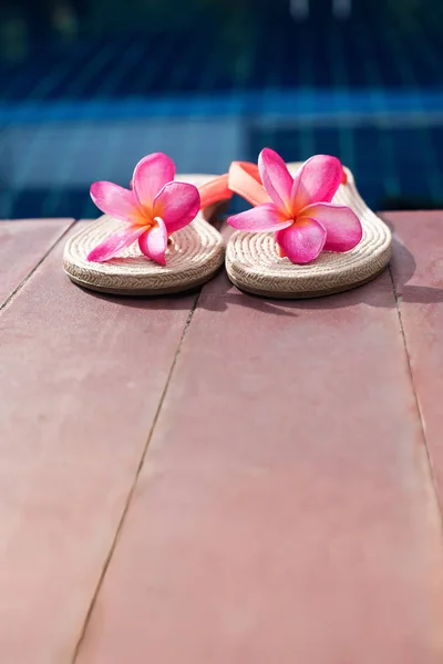 Παντόφλες ροζ Frangipani πισίνα — Φωτογραφία Αρχείου