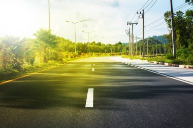 Tay yol araba yol işaretleme çizgi orta manzara