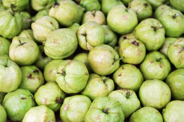 Guava tropikal meyve doğal adam doku