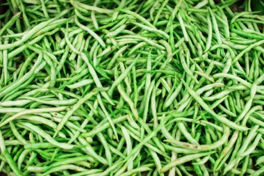 karela sebze bitter kabak