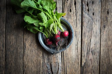 Parlak organik kirli turp Metal plaka Üstten Görünüm