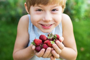 Çocuk tutun taze çilek mevsimlik Berry