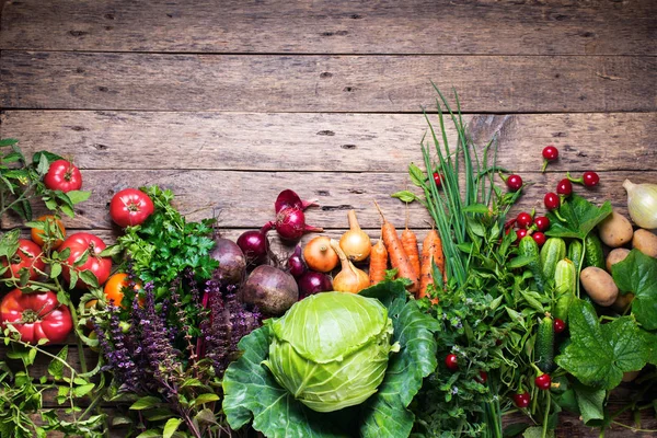 Asortyment surowe świeże organiczne warzywa wiersza — Zdjęcie stockowe