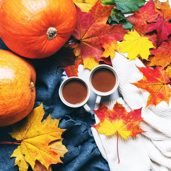 Outono dourado duas xícaras de chocolate folhas de laranja — Fotografia de Stock