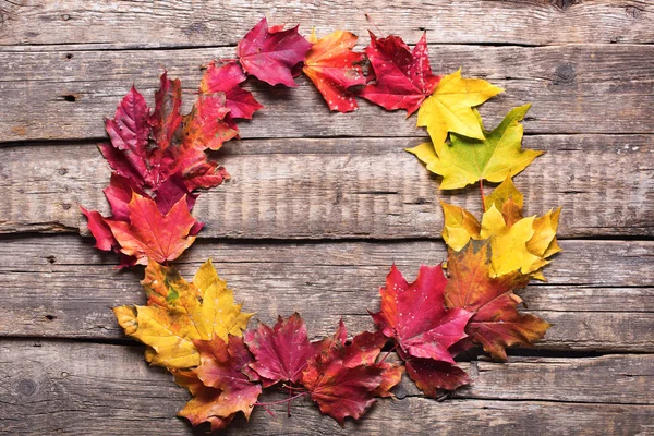 çerçeve rengi kırmızı sarı yapraklar ahşap düşmek