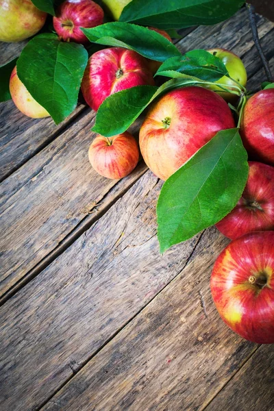 Kypsä punainen vihreä omenat lehdet puinen pöytä — kuvapankkivalokuva