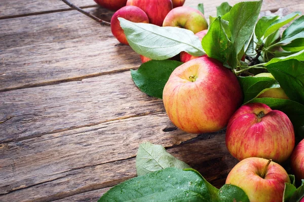 Kypsä punainen vihreä omenat lehdet puinen pöytä — kuvapankkivalokuva