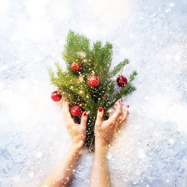 Γυναικεία χέρια Εορταστική Χριστουγεννιάτικη πράσινο έλατο κλαδιά — Φωτογραφία Αρχείου