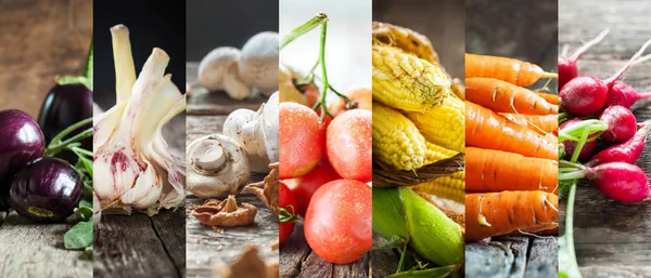 Set Collage Fresh Color Nature Vegetables Prodacts — Stock Photo, Image