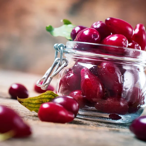 Ripe Cornel Berries Small Jar Autumn Harvest — Stock Photo, Image