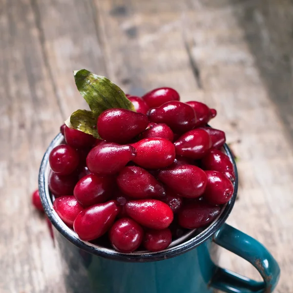 Ripe Cornel Berries Small Blue Cup Autumn Harvest — Stock Photo, Image