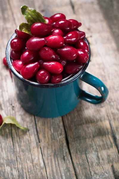 Ripe Cornel Berries Small Blue Cup Autumn Harvest — Stock Photo, Image