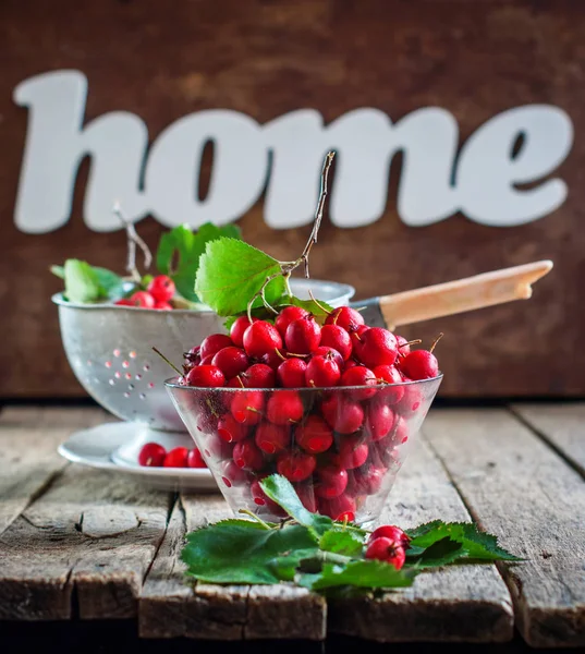 Summer Red Berries Hawthorn Decoration — Stock Photo, Image