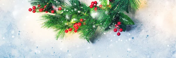 Weihnachtlich grüne dekorative Kranz Stechpalme Beeren — Stockfoto