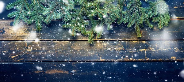 Holiday Banner zöld karácsony természetes fenyő, lucfenyő — Stock Fotó