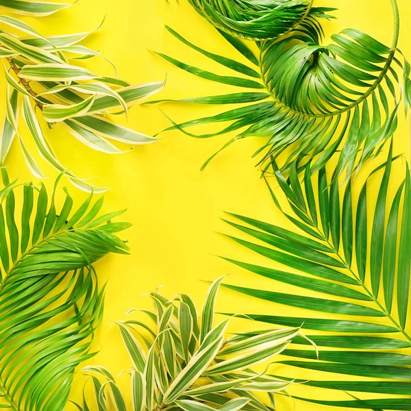 Variations Tropical Palm Leaves Yellow Flat Lay — Stock Photo, Image