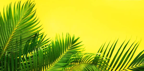 Variaciones Tropical Palm Leaves Yellow Flat Lay —  Fotos de Stock