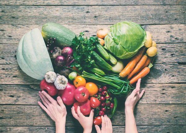 Zdrowie kobiet ręce asortymentem ekologicznych warzyw — Zdjęcie stockowe
