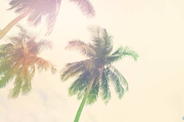 Palmiye ağaçları orman tropik manzaralı tonda