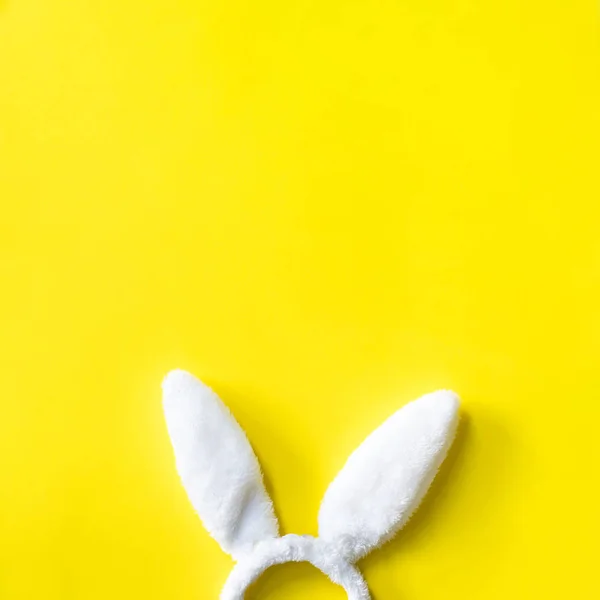 Cute little bunny ears Easter concept yellow — Stock Photo, Image