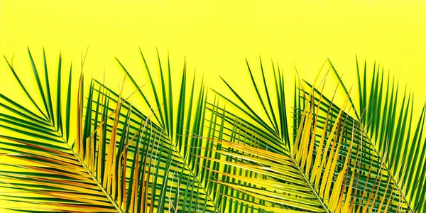 Palma tropical deixa fundo amarelo flat lay — Fotografia de Stock