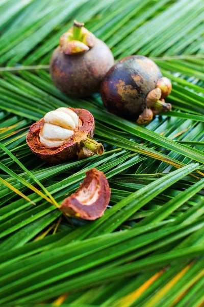 Mangostin Tropical Fruit Laing Green Palm Leaves — Stock Photo, Image