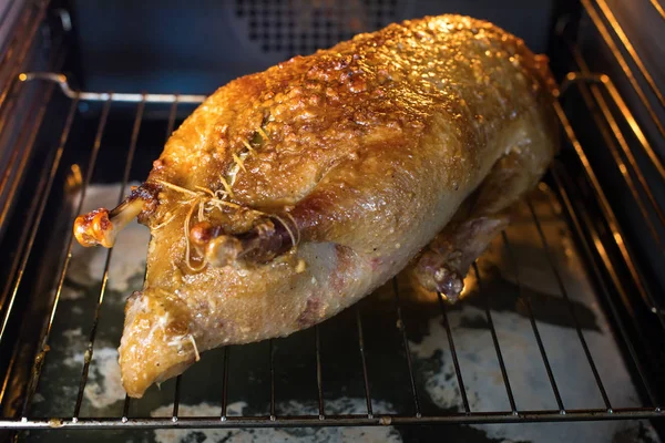 Celá kachna v procesu pečení v peci — Stock fotografie