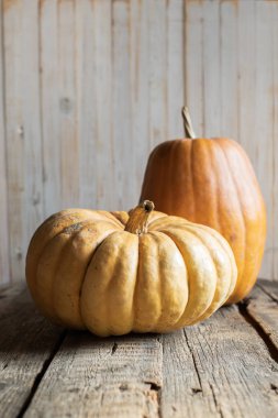 Beyaz kalaslarda portakal rengi Cadılar Bayramı balkabakları.