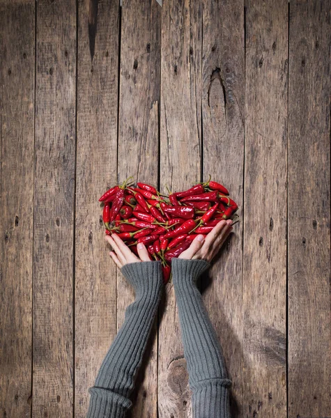 Female hand hold organic vegetable red chili pepper — ストック写真