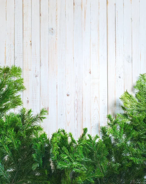 Holiday Banner grön jul naturliga Fir piffa — Stockfoto