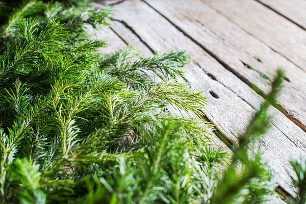 Férias Banner Verde Natal Abeto Natural Spruce — Fotografia de Stock