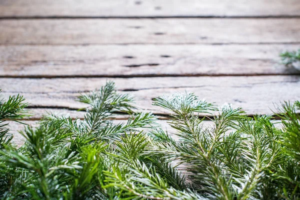 휴일 배너 녹색 크리스마스 자연 전나무 가문비나무 — 스톡 사진