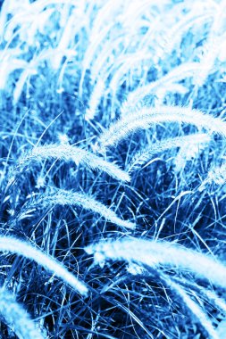 2020 'nin soyut klasik mavi renk eğilimi