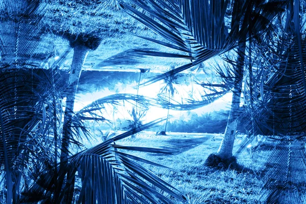 Soyut doğal desenli tropikal palmiye ağaçları — Stok fotoğraf