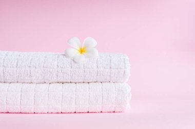 Beyaz havluyla beyaz spa pompadan tropik çiçek. Pembe pastel arka plan
