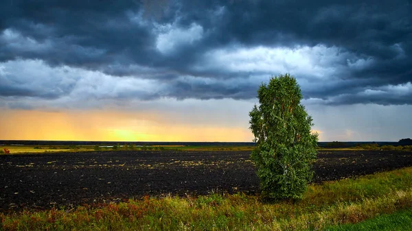 not UFO. Landscape before rain