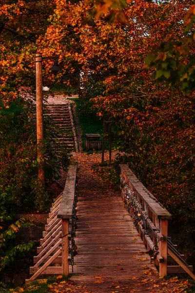 Bunte Bäume Der Stadt Herbst — Stockfoto