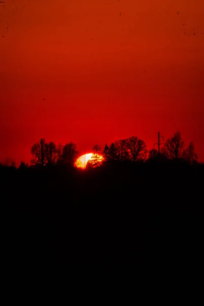 Coucher Soleil Ciel Sur Champ — Photo