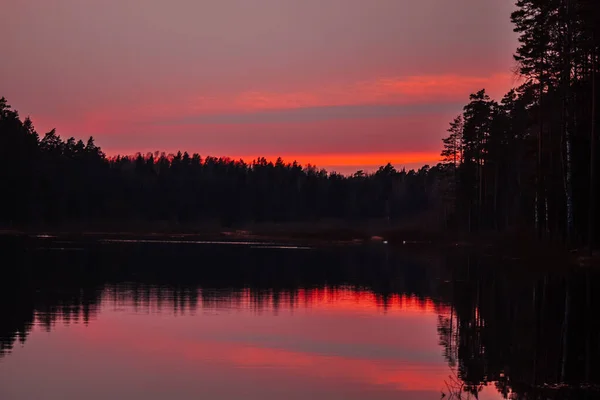 Sunset Sky Field — Stock Photo, Image