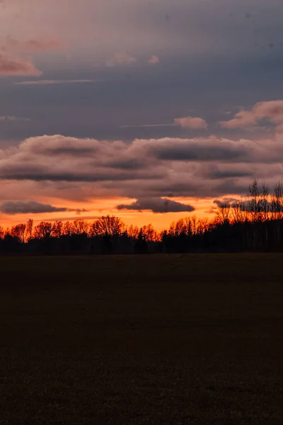 Solnedgång Himmel Över Fältet — Stockfoto