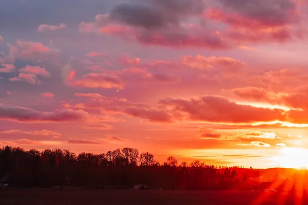 Cielo Del Atardecer Sobre Campo — Foto de Stock