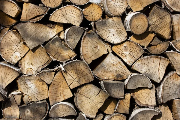 Birch firewood. Front image of firewood saw cuts. Firewood is dried and ready to kindle a fireplace. Cracked wood, texture is clearly visible. Horizontal photo, daylight