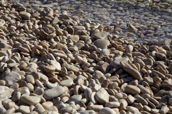 Bazı beyaz taş — Stok fotoğraf