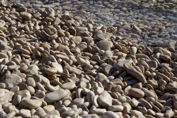 Bazı beyaz taşlar — Stok fotoğraf