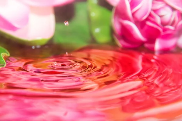 Uma gota vermelha — Fotografia de Stock