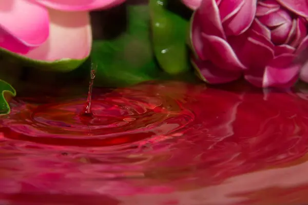 Um detalhe de gota vermelha e flor — Fotografia de Stock