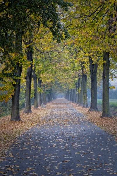 An autumn way — Stock Photo, Image