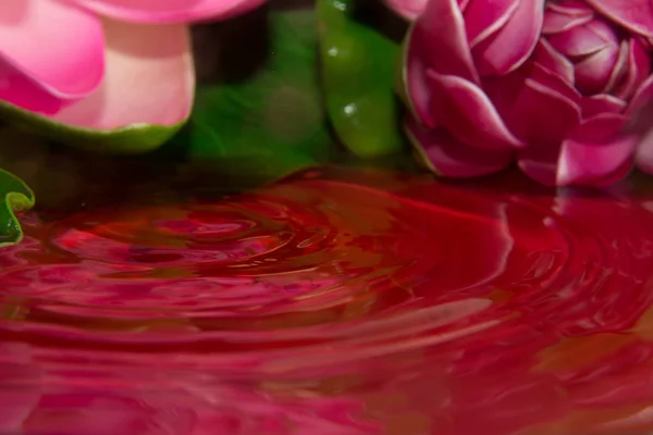 Uma gota vermelha — Fotografia de Stock