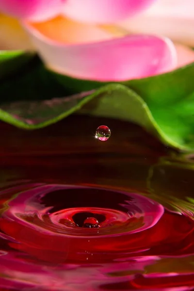 Una gota roja — Foto de Stock